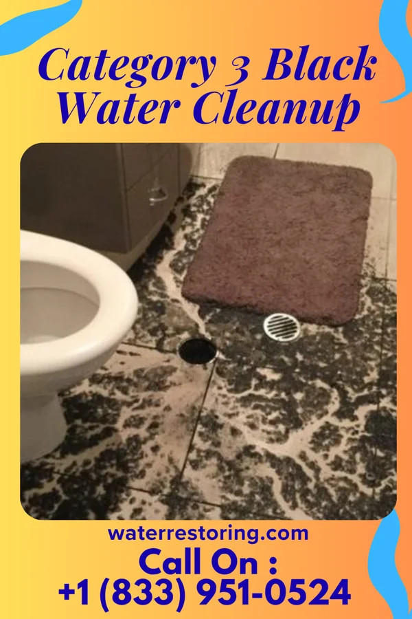 Category 3 Black Water Cleanup in Riley, KS